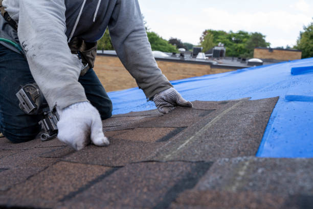 Best Emergency Roof Repair Services  in Leipsic, OH